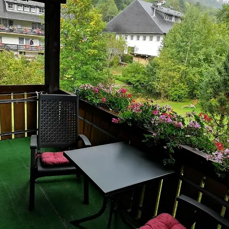 B4 Schwarzwald-fewo An Der Alb * Menzenschwand-Hinterdorf