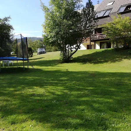 B4 Schwarzwald-fewo An Der Alb Apartamento Menzenschwand-Hinterdorf